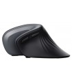 ماوس ارگونومیک تراست Trust Verro Ergonomic Wireless Mouse