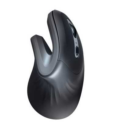 ماوس ارگونومیک تراست Trust Verro Ergonomic Wireless Mouse