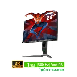 مانیتور انت گیمر ANTGAMER ANT253PQ 25" FastIPS 300Hz QHD