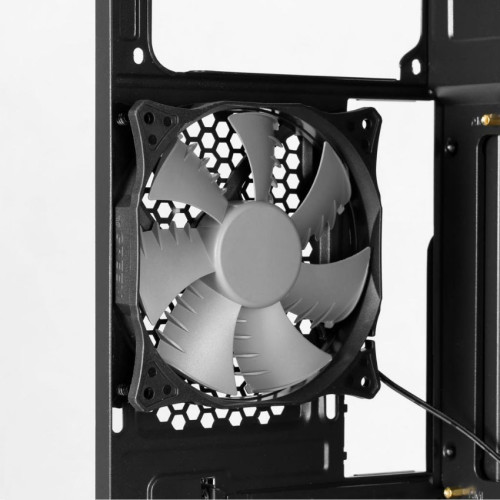 کیس گرین آوا+ +Case Green Ava
