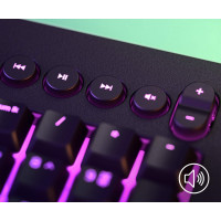 کیبرد گیمینگ ریزر Razer Cynosa V2-GR
