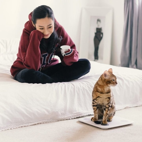 ترازو هوشمند شیائومی مدل Mi Body Composition Scale2 ترازو هوشمند شیائومی مدل Mi Body Composition Scale2