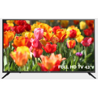 تلویزیون اسنوا LED TV Snowa 43SA220 سایز 43 اینچ