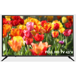 تلویزیون اسنوا LED TV Snowa 43SA220 سایز 43 اینچ تلویزیون اسنوا LED TV Snowa 43SA220 سایز 43 اینچ
